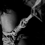 igp4772_cut