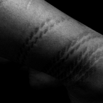 igp1174_cut