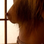 03_igp9310_cut