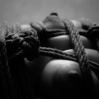 img_7332_web